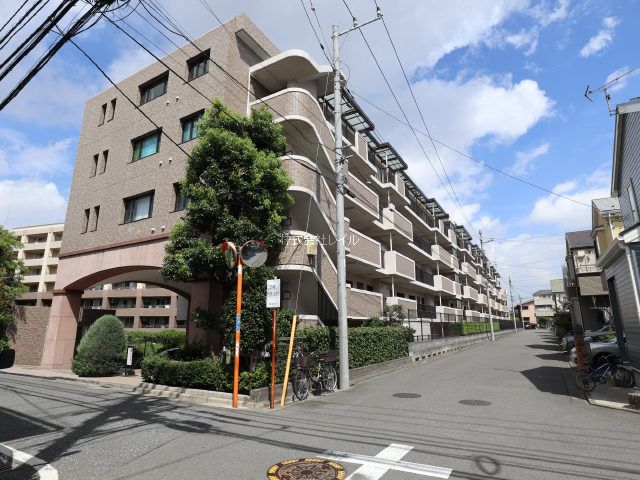 6745画像