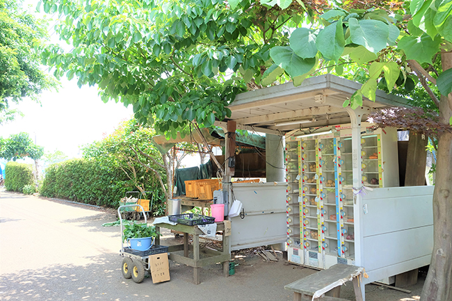 農家さんの軒先販売
